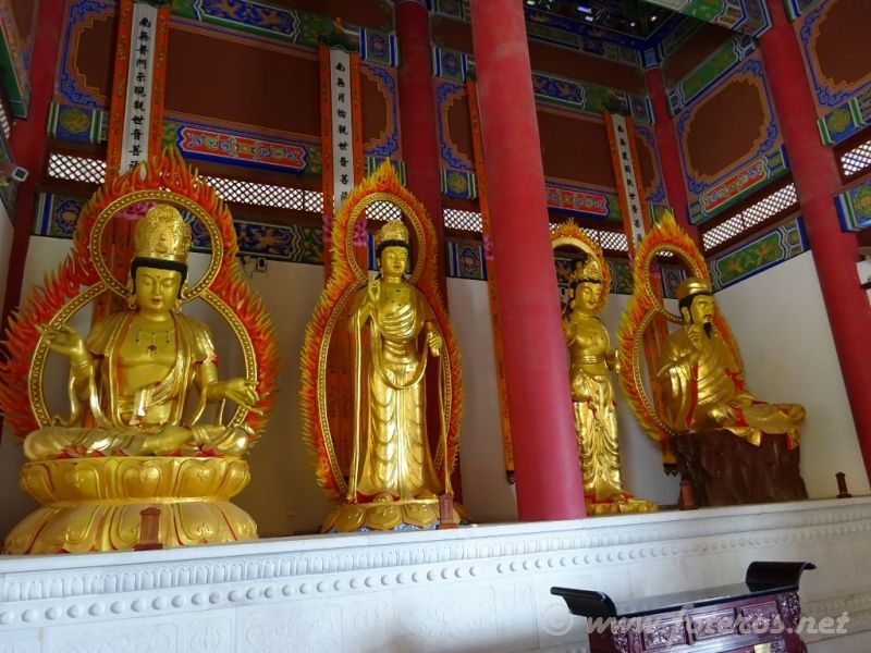 45
Yunnan - Dali
Templo Pagodas
Palabras clave: Elenita