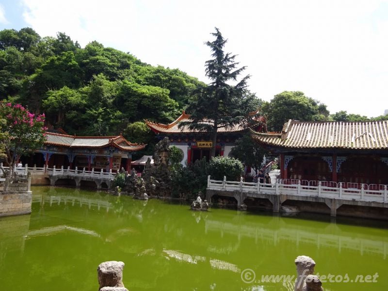 09
Yunnan-Kunming
Templo Yuantong
Palabras clave: Elenita