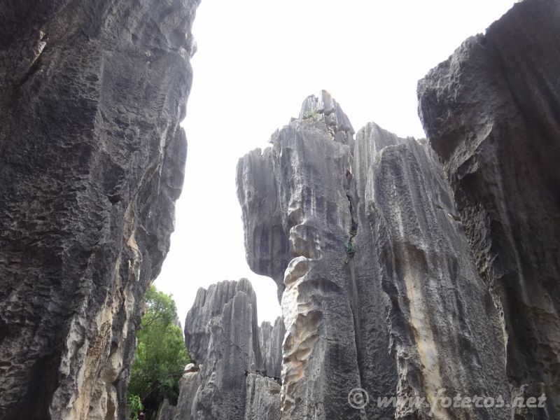 18
Yunnan-Kunming
Bosque de piedra
Palabras clave: Elenita