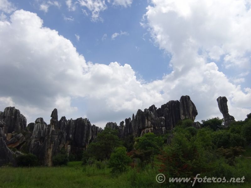 22
Yunnan-Kunming
Bosque de piedra
Palabras clave: Elenita