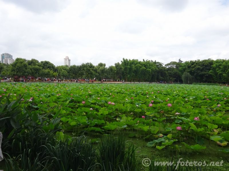 19
Yunnan-Kunming
Parque Green Lake
Palabras clave: Elenita