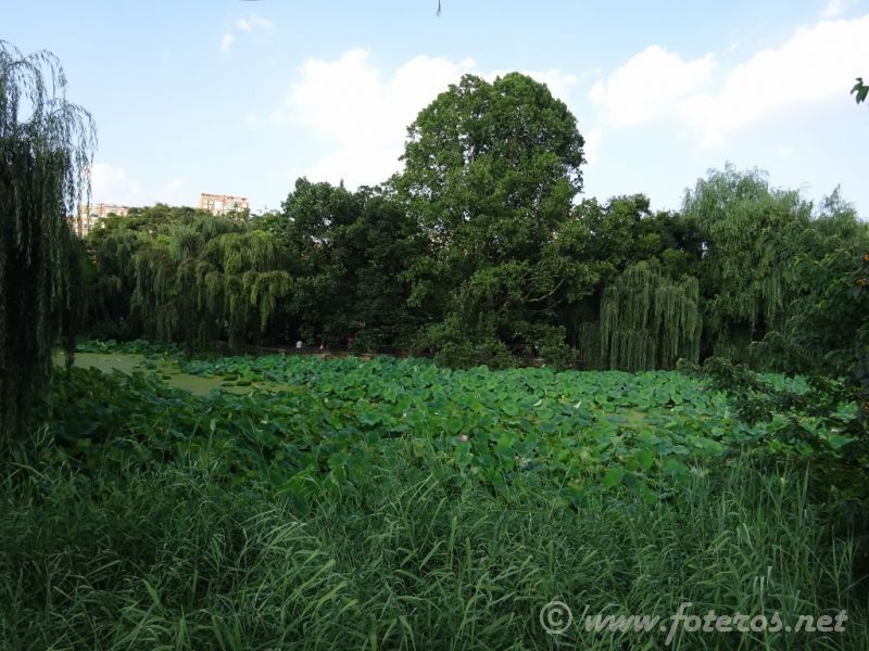 09
Yunnan-Kunming
Parque Green Lake
Palabras clave: Elenita