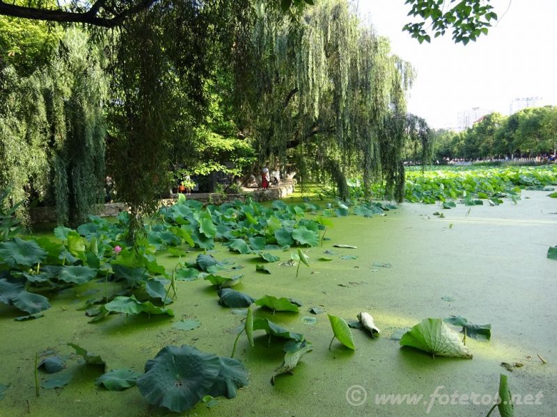 07
Yunnan-Kunming
Parque Green Lake
Palabras clave: Elenita