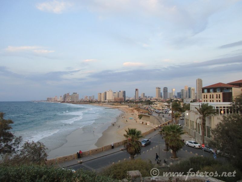 130
Tel Aviv
Palabras clave: Mingo - Tatiana