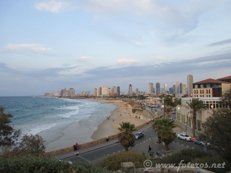 130
Tel Aviv
Palabras clave: Mingo - Tatiana