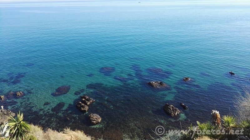22 BenalmÃ¡dena - MÃ¡laga
Mingo
