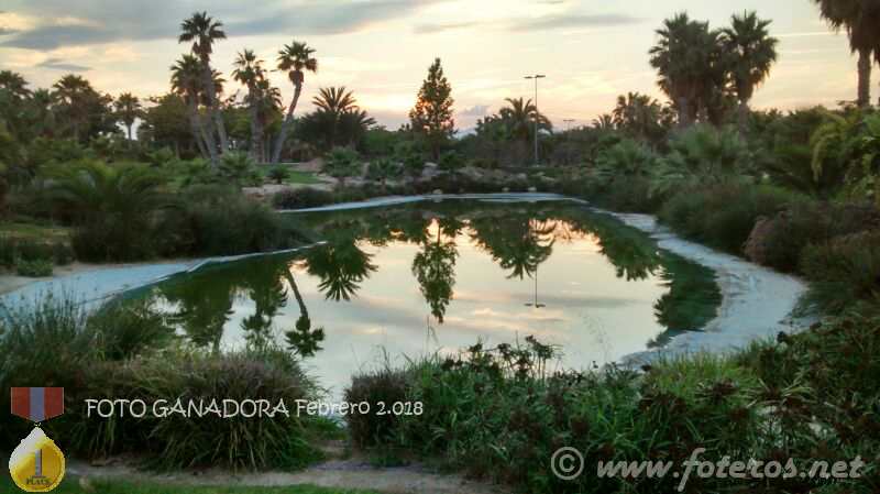 Arti­sticas 199 - Mariflay
Lago Artificial junto a Parque La Marjal en Alicante
