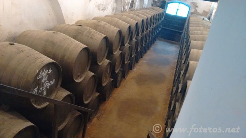 Curiosidades 345 - Anikeyko
Cubas en Bodegas Byass
