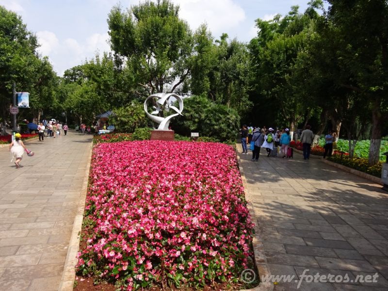 37
Yunnan-Kunming
Parque Green Lake
Palabras clave: Elenita