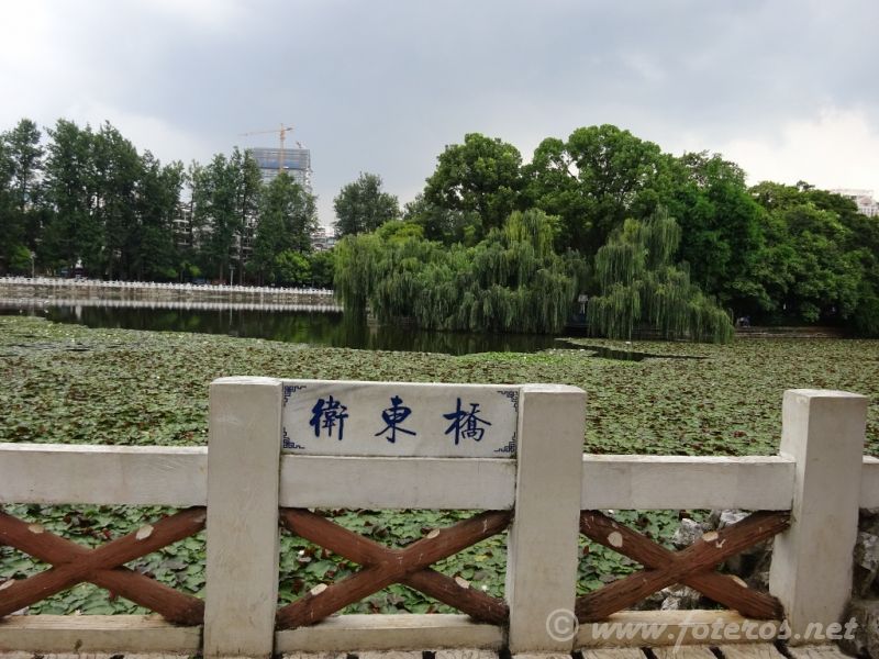 33
Yunnan-Kunming
Parque Green Lake
Palabras clave: Elenita