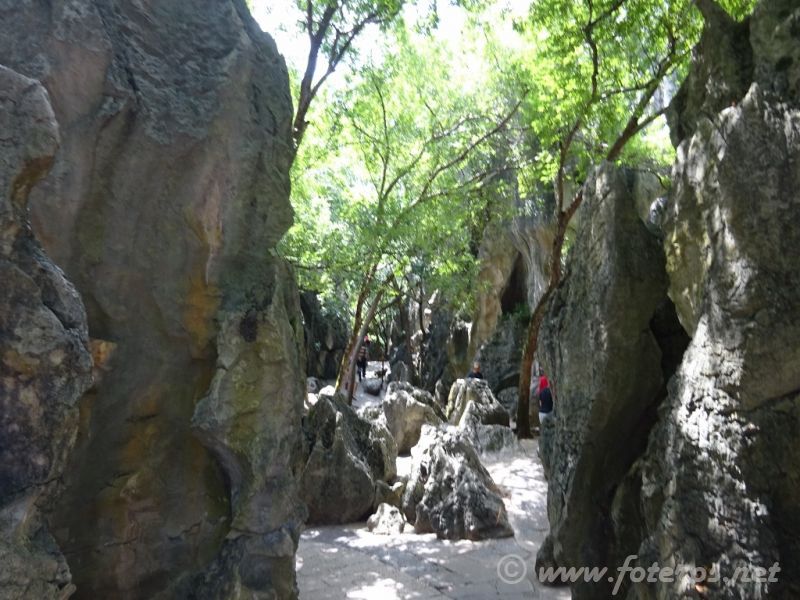 11
Yunnan-Kunming
Bosque de piedra
Palabras clave: Elenita
