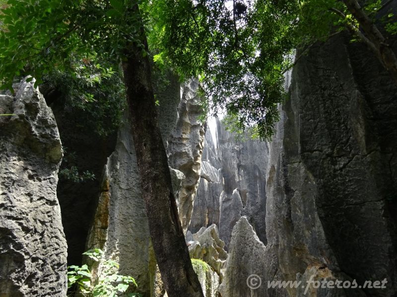 13
Yunnan-Kunming
Bosque de piedra
Palabras clave: Elenita