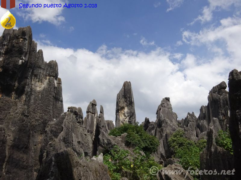 14
Yunnan-Kunming
Bosque de piedra
Palabras clave: Elenita