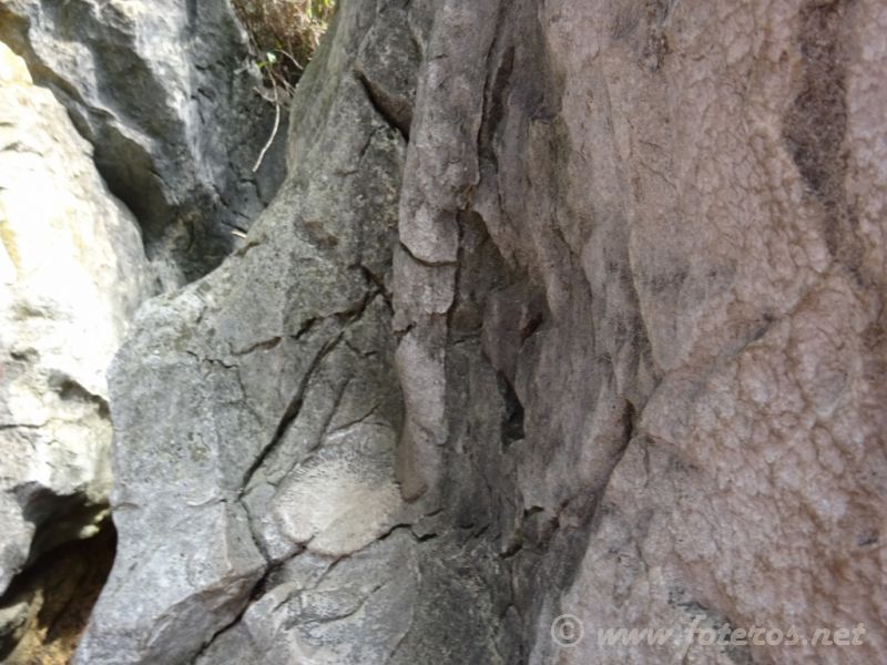15
Yunnan-Kunming
Bosque de piedra
Palabras clave: Elenita