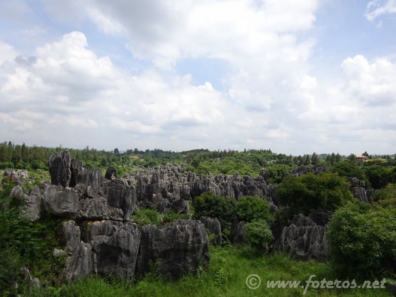 20
Yunnan-Kunming
Bosque de piedra
Palabras clave: Elenita