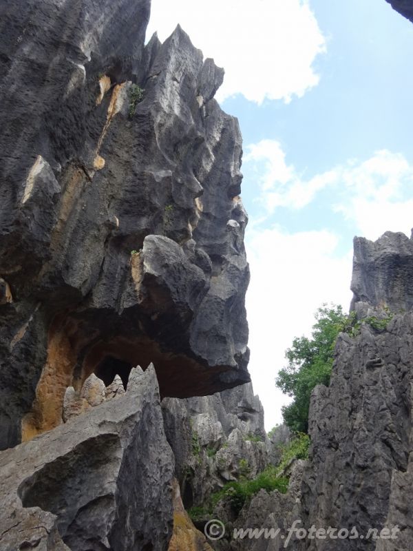 07
Yunnan-Kunming
Bosque de piedra
Palabras clave: Elenita