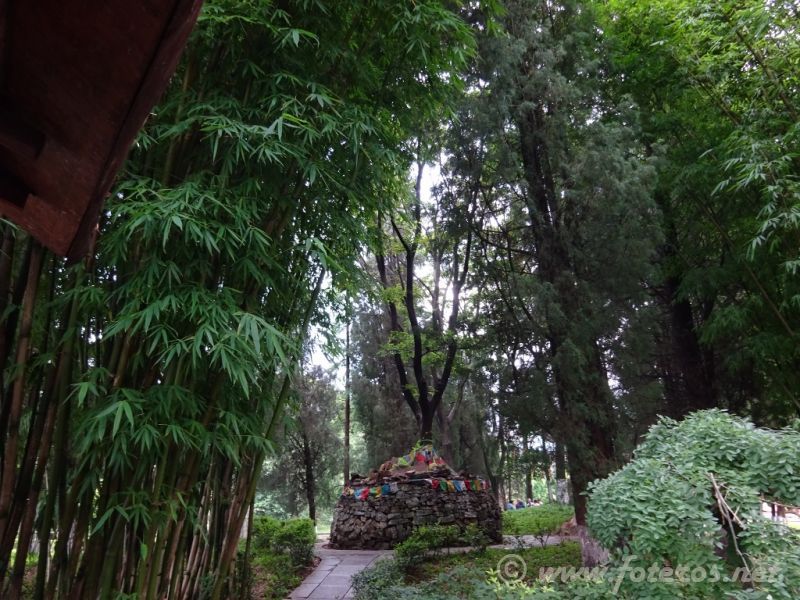 16
Yunnan-Kunming
Museo Nacionalidades
Palabras clave: Elenita