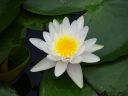 Nombre del archivo=Kunming_green_lake_281129.jpg
TamaƱo del archivo=49KiB
Dimensiones=800x600
Fecha aƱadida=Agosto 23, 2018 Kunming_green_lake_281129.jpg