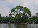 Nombre del archivo=Kunming_green_lake_28329.jpg
TamaƱo del archivo=83KiB
Dimensiones=800x600
Fecha aƱadida=Agosto 23, 2018 Kunming_green_lake_28329.jpg