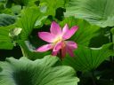 Nombre del archivo=Kunming_green_lake_28729.jpg
TamaƱo del archivo=77KiB
Dimensiones=800x600
Fecha aƱadida=Agosto 23, 2018 Kunming_green_lake_28729.jpg