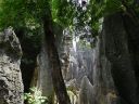 Yunnan_kunming_bosque_de_piedra_281429.jpg