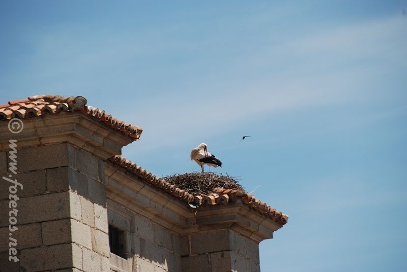 18
Masueco (Salamanca)
