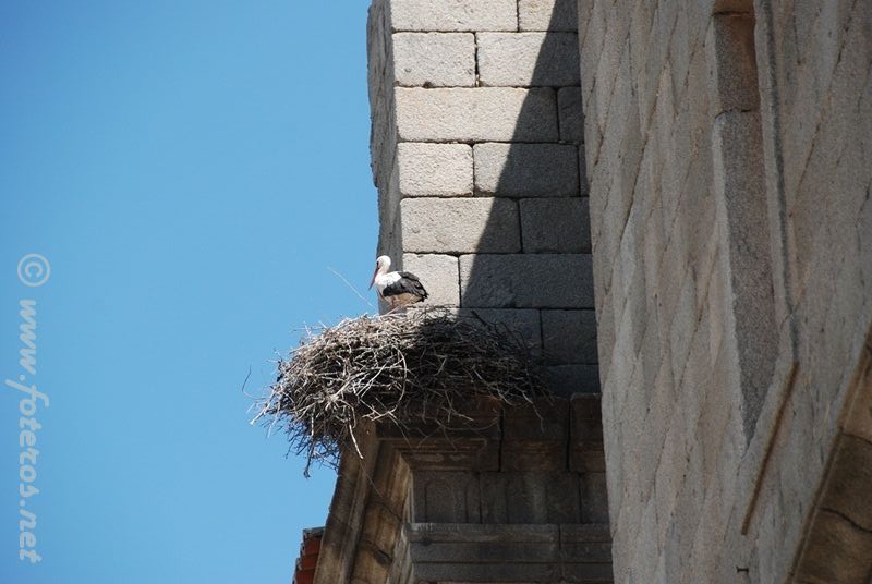 19
Masueco (Salamanca)
