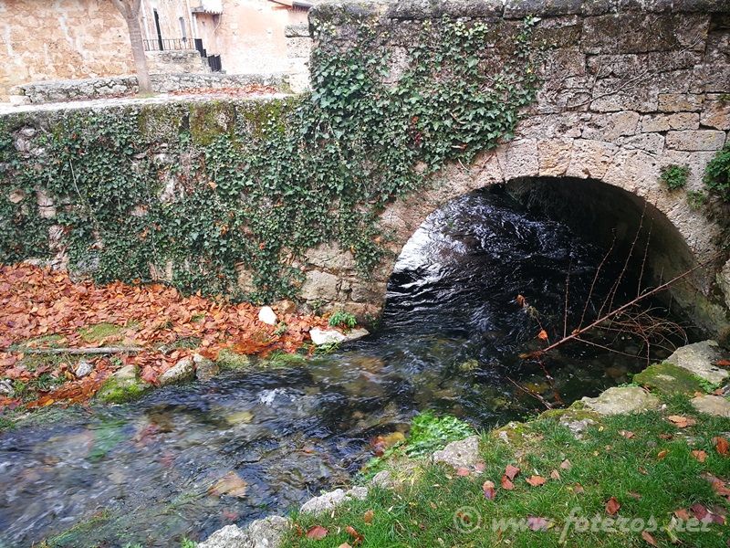 Orbaneja del Castillo 36
