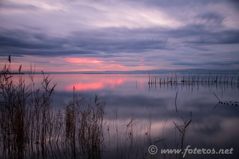 Paisajes 438
Parque Natural de la Albufera en Valencia
