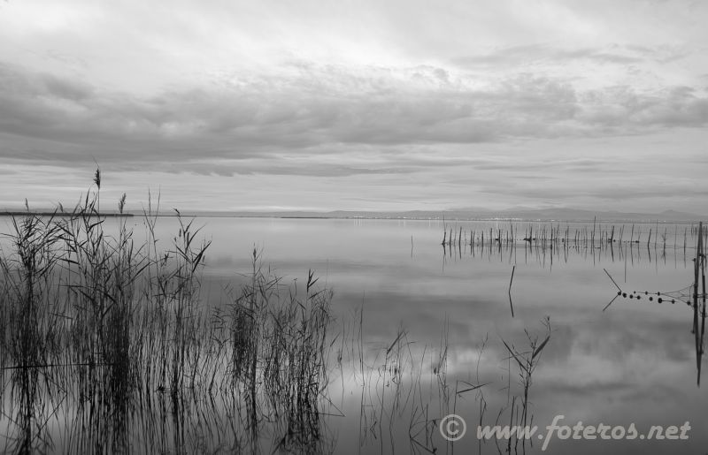 Paisajes 439
Parque Natural de la Albufera en Valencia
