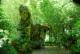 Bosque