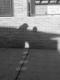Sombras