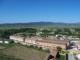 Olite