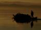 Atardecer