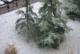 Primeras nieves