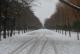 Primeras nieves