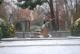 Primeras nieves