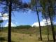 Por tierras sorianas