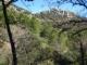 Las Mimbres
