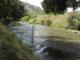 Ro Cenes