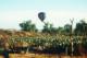 Globo