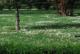 Pradera