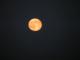 Luna naranja y roja