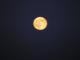 Luna naranja y roja