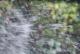 Agua