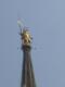 Catedral