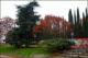 Colores otoales