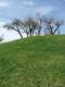 Reserva Ecolgica