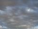 Cielo
