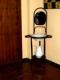 Lavabo